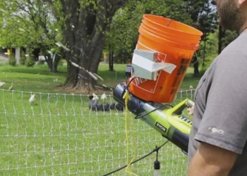 Используй то, что под рукою: птицевод соорудил из имеющихся в хозяйстве вещей бластер для попкорна – чтобы кормить кур (ВИДЕО)