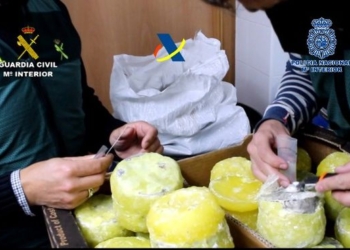 Ананасы с кокаином: в Испании накрыли группу наркодилеров (ВИДЕО)