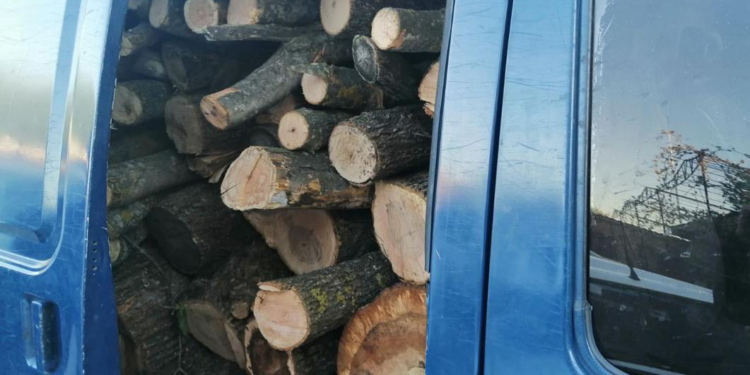 Откуда дровишки? На Николаевщине задержали грузовой микроавтобус с 6,5 кубометрами неизвестно откуда взявшейся древесины (ФОТО)