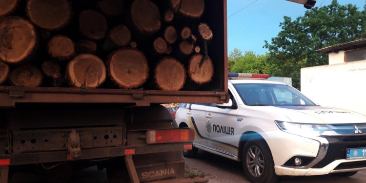 Место то же, а масштабы – больше: в Вознесенском районе задержали ЗИЛ со свежеспиленными дубами (ФОТО)