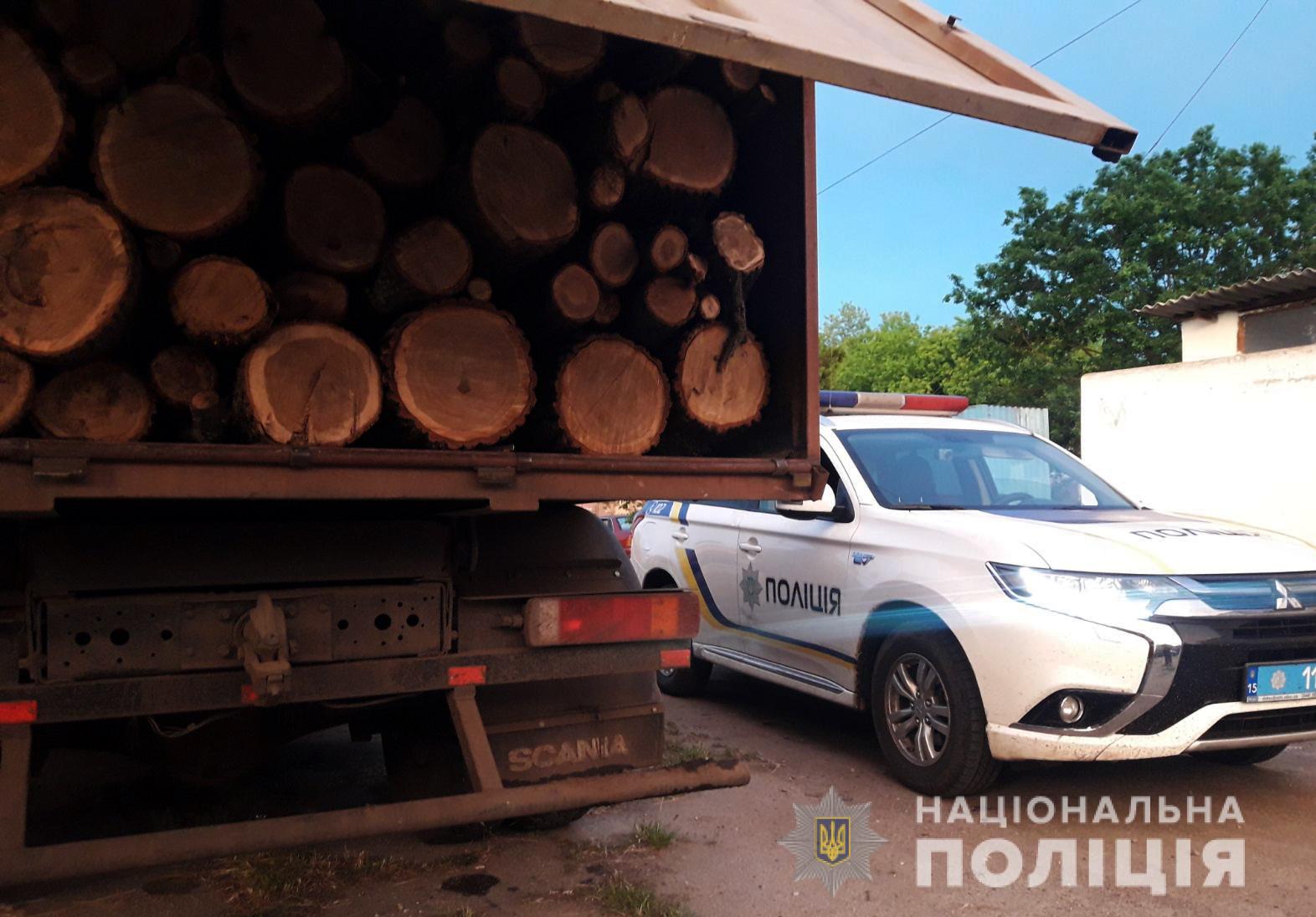 Место то же, а масштабы – больше: в Вознесенском районе задержали ЗИЛ со свежеспиленными дубами (ФОТО)