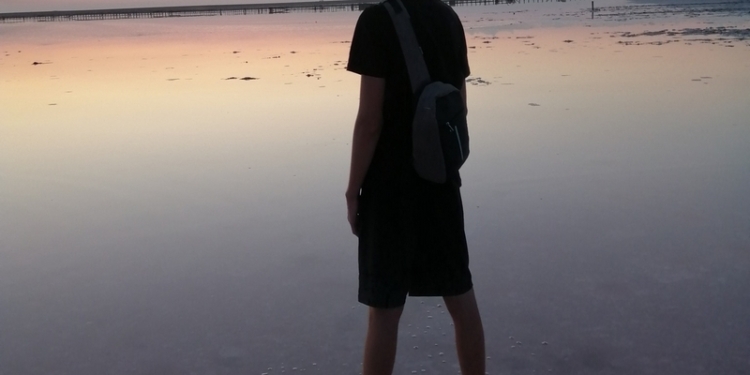 Учень миколаївської школи здобув перемогу у челенджі “Українська мова важлива”