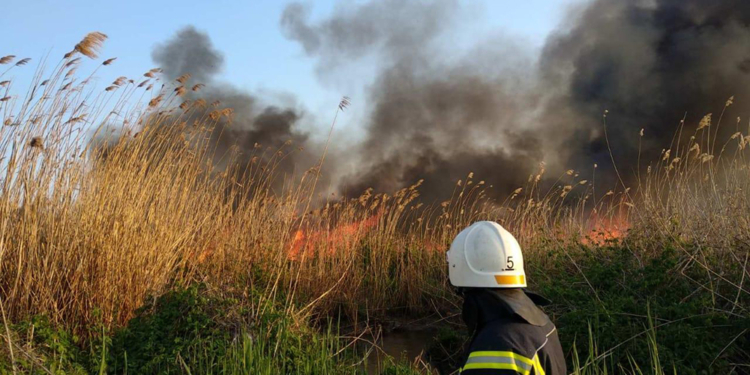 На окраине Николаева несколько часов тушили 2 га камышей – их подожгли (ФОТО)