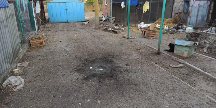 На Николаевщине во двор сельской жительницы бросили гранату РГД-5 – прогремел взрыв (ФОТО)