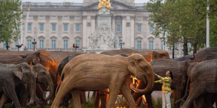 К Букингемскому дворцу “пригнали” стадо деревянных слонов. Зачем? (ФОТО)