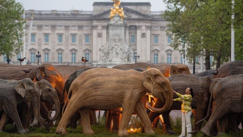 К Букингемскому дворцу "пригнали" стадо деревянных слонов. Зачем? (ФОТО) 2