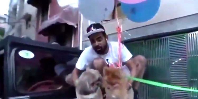 В Индии популярного блогера арестовали за видео с “летающей” собакой – он привязал ее к воздушным шарикам (ФОТО)