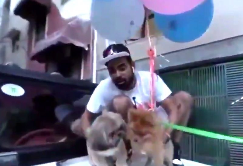В Индии популярного блогера арестовали за видео с “летающей” собакой – он привязал ее к воздушным шарикам (ФОТО)
