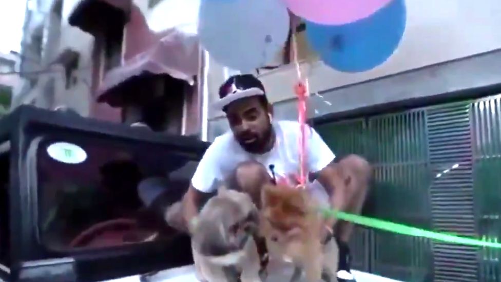 В Индии популярного блогера арестовали за видео с "летающей" собакой - он привязал ее к воздушным шарикам (ФОТО) 1