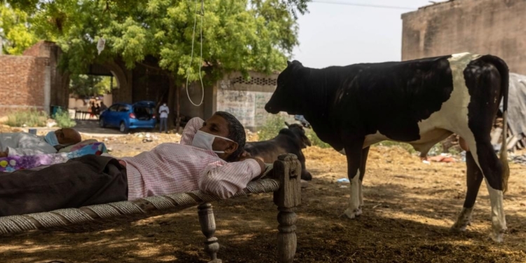 Лазарет под открытым небом. В Индии больных COVID-19 лечат на улице – капельницы висят на деревьях (ФОТО, ВИДЕО)