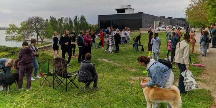 Во время “тусовки” в Николаеве 11 бездомных собак нашли хозяев