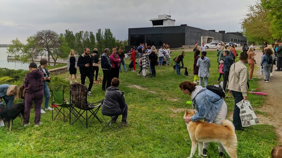 Во время "тусовки" в Николаеве 11 бездомных собак нашли хозяев 1