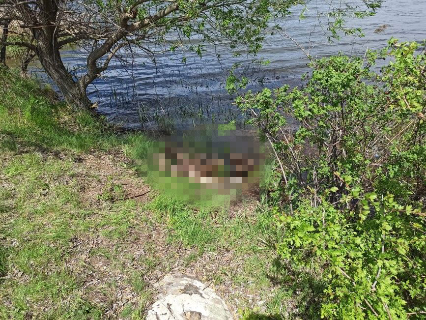 Тело мертвого мужчины обнаружено в реке возле Пелагеевки (ФОТО) 1