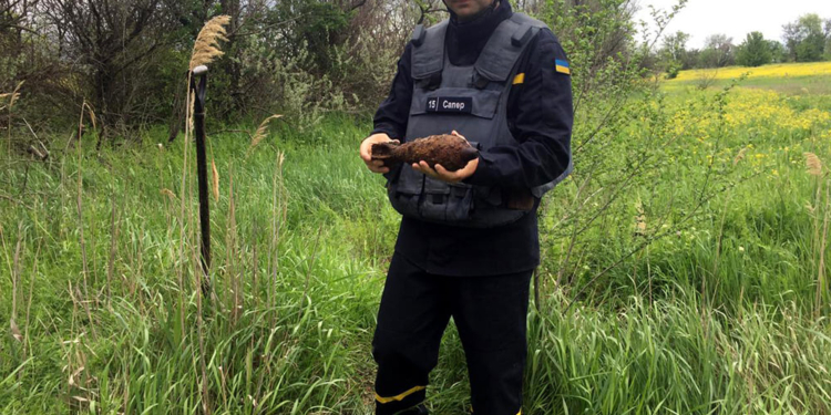 Артснаряды и минометная мина: пиротехники Николаевщины обезвредили взрывоопасные предметы (ФОТО)