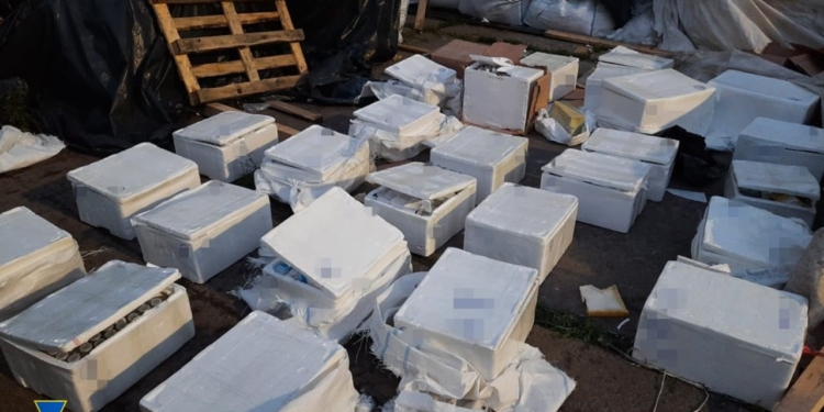 Рекордная контрабанда в Николаев из Турции: помимо одежды и обуви, под грузом с цементом были и наркотики (ФОТО)