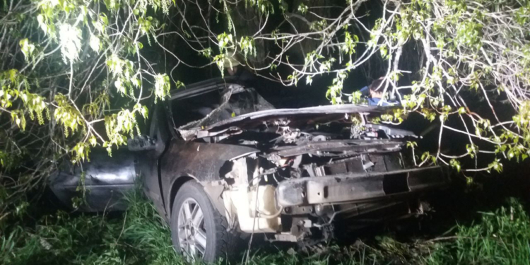 У Врадиевки в дерево влетел Renauit: молодые водитель и пассажир оказались в больнице (ФОТО)