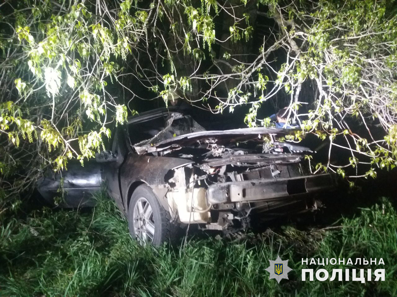 У Врадиевки в дерево влетел Renauit: молодые водитель и пассажир оказались в больнице (ФОТО)