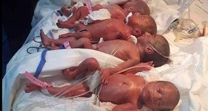 25-летняя жительница Мали родила девятерых – пять девочек и четыре мальчика (ФОТО, ВИДЕО)