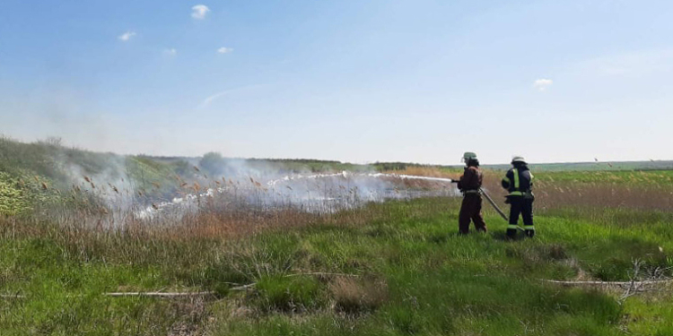 В Николаевской области за сутки спасатели потушили 6 пожаров на открытой территории (ФОТО)