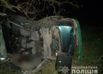 На Николаевщине в ночном ДТП погиб пассажир легковушки (ФОТО)