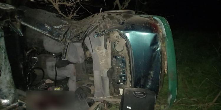 На Николаевщине в ночном ДТП погиб пассажир легковушки (ФОТО)