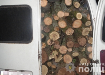 Опять Вознесенский район: полицейские задержали микроавтобус с 7 кубометрами свежеспиленных деревьев (ФОТО)