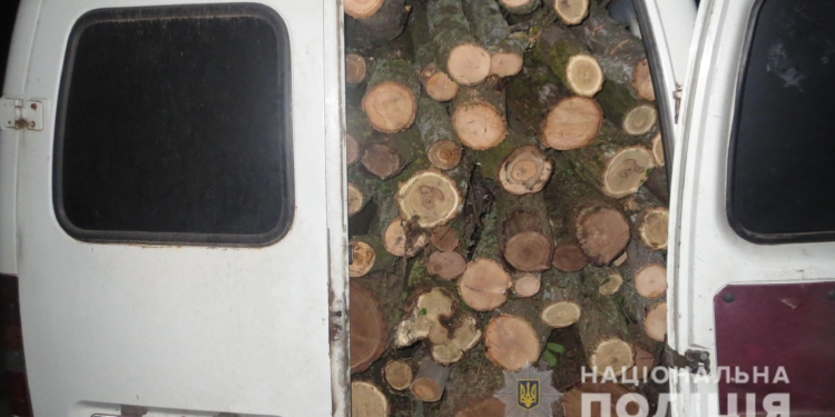 Опять Вознесенский район: полицейские задержали микроавтобус с 7 кубометрами свежеспиленных деревьев (ФОТО)