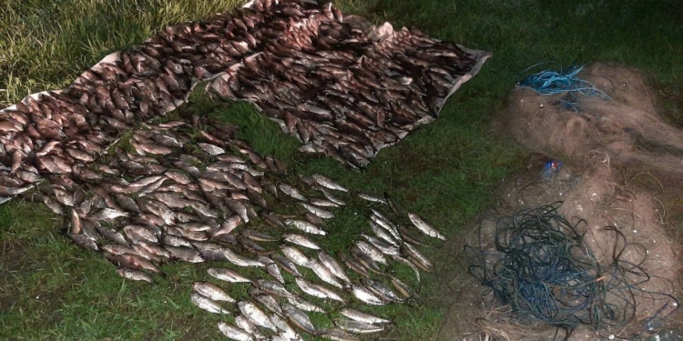 Николаевский рыбоохранный патруль поймал у Новой Одессы браконьера (ФОТО)