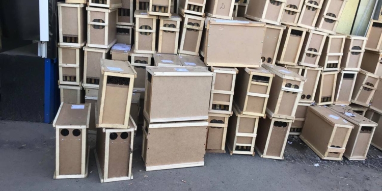 Часть из восьми  миллионов пчел, погибших в машине Укрпочты, воскресли, но они уже никому не нужны