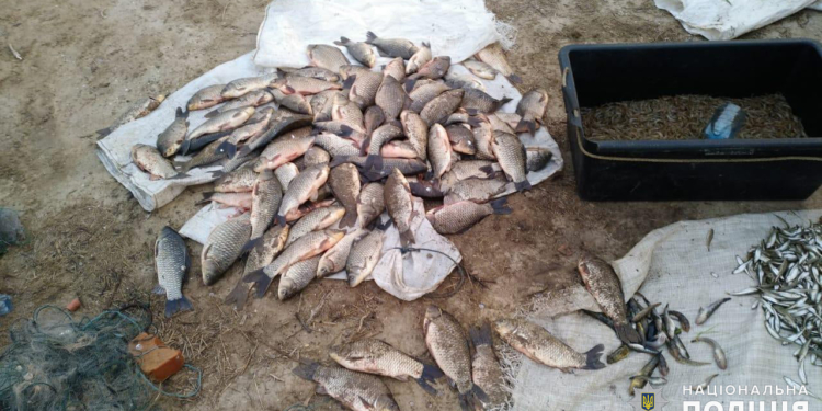 Николаевская водная полиция и рыбоохранный патруль поймали браконьеров на вылове креветки и рыбы (ФОТО)
