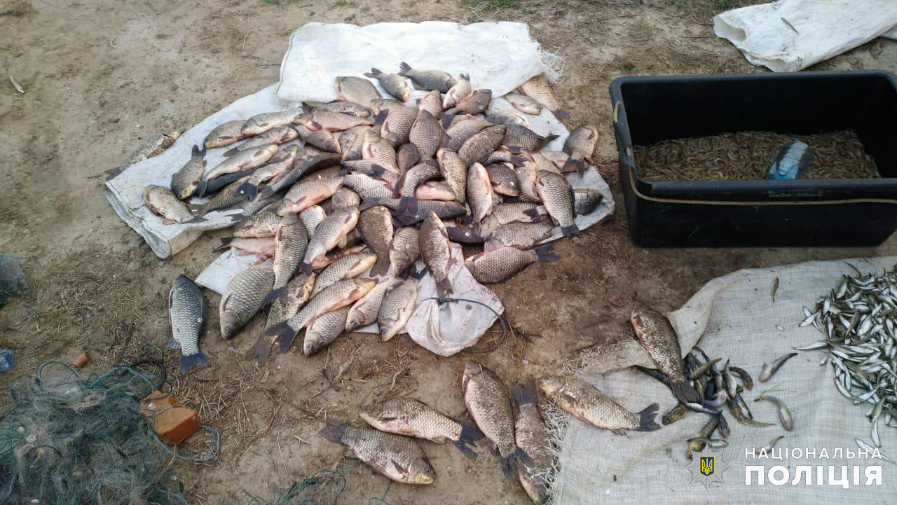 Николаевская водная полиция и рыбоохранный патруль поймали браконьеров на вылове креветки и рыбы (ФОТО)