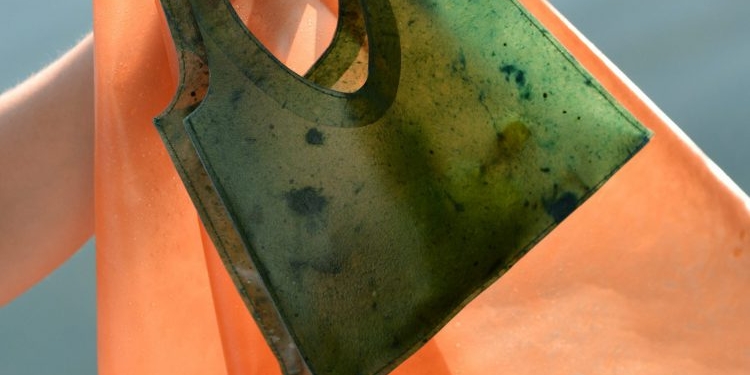 Они растворяются в воде. Студенты придумали экосумки из кожуры фруктов