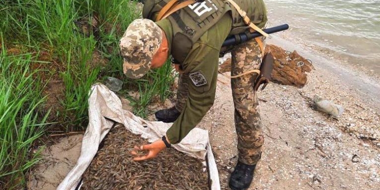 Возле Очакова пограничники задержали браконьера с 10 кг креветки – заплатит по тысяче за каждый кг (ФОТО)