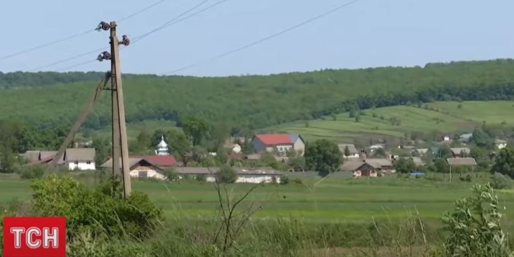 В Карпатах оголодавшие за зиму медведи подходят к домам, убивают свиней и рвут коров (ВИДЕО)