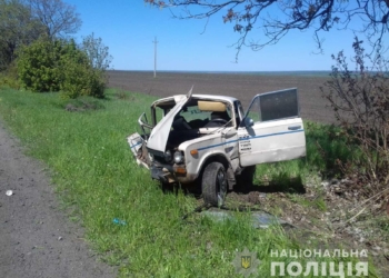 На Николаевщине водитель ВАЗа врезалась в дерево. В машине были 2 девочки (ФОТО)