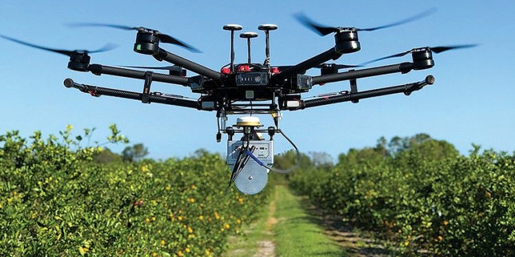 Пчел не хватает. В Украине учатся опылять сады с помощью дронов