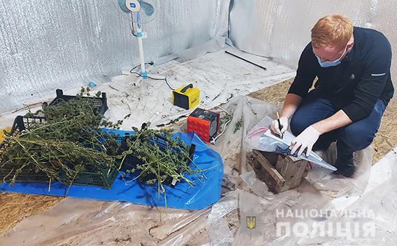 На Николаевщине накрыли сеть теплиц - в них выращивали наркозелье для 3 областей (ФОТО, ВИДЕО) 25