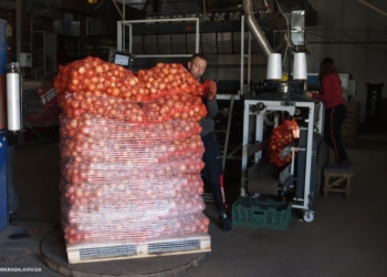 Николаевскому КПОПу “Владам” продает хорошие овощи, найденные в школьных пищеблоках заплесневелые  – “человеческий фактор”