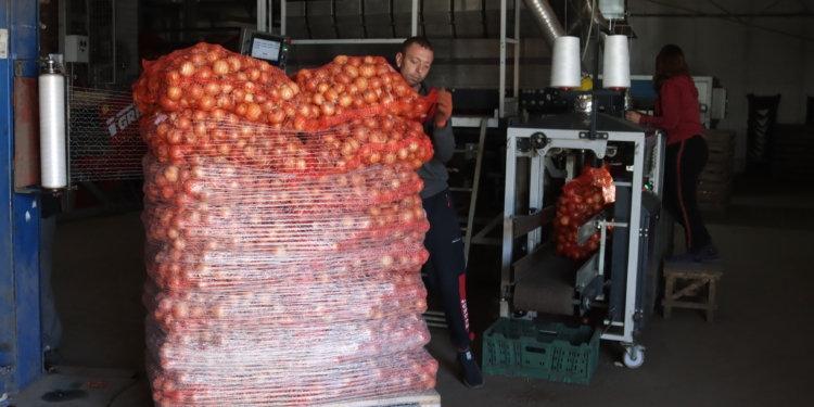 Николаевскому КПОПу “Владам” продает хорошие овощи, найденные в школьных пищеблоках заплесневелые  – “человеческий фактор”