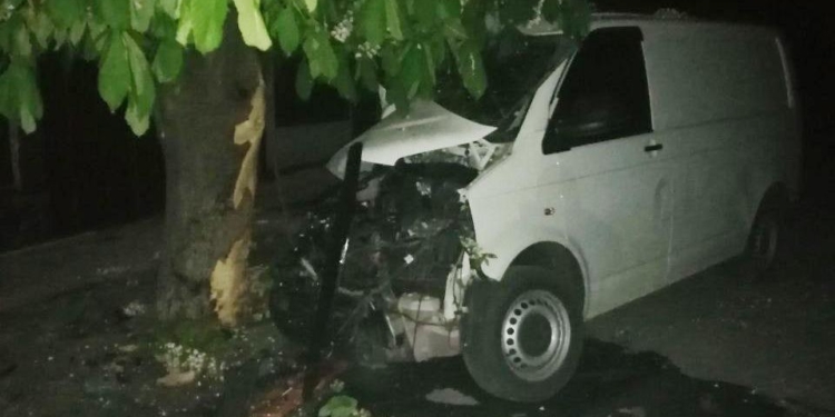 Ночное ДТП в Кривом Озере: водитель микроавтобуса, врезавшегося в дерево, скончался в больнице (ФОТО)