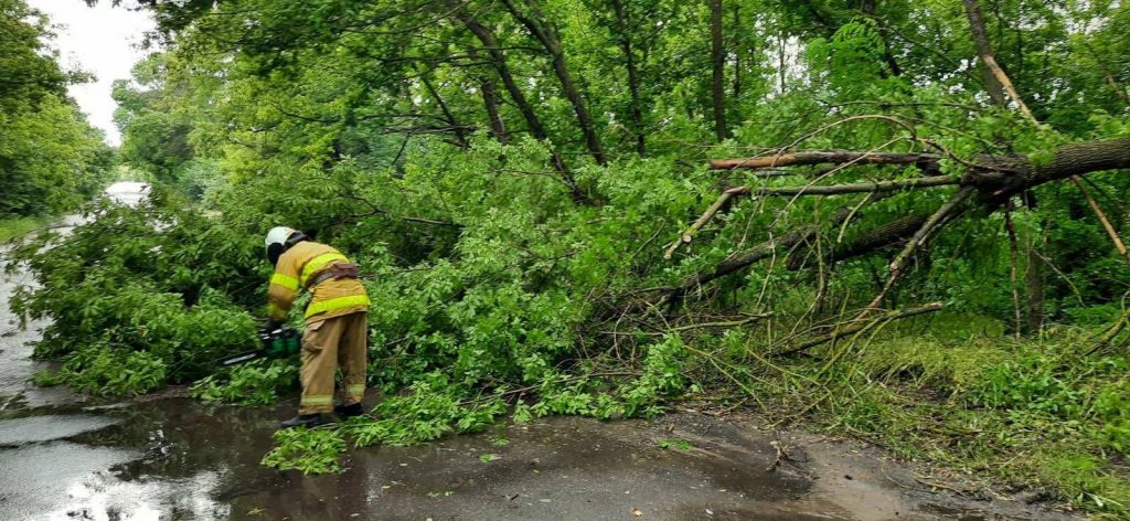 Последствие непогоды на Николаевщине: спасатели убирали деревья с дорог и откачивали воду из подвала 1