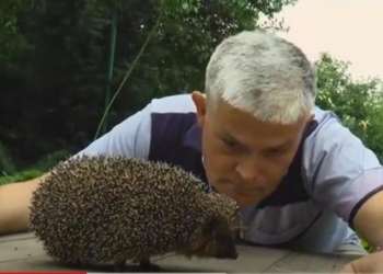 «А для меня милее еж, этот зверь такой хороший»: директор Одесского зоопарка спел новую песню (ВИДЕО)