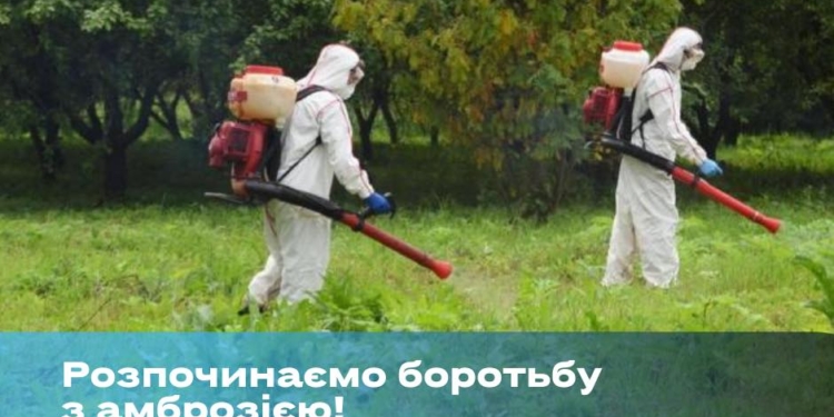 Департамент ЖКХ через Facebook собирает адреса, где в Николаеве надо «потравить» амброзию