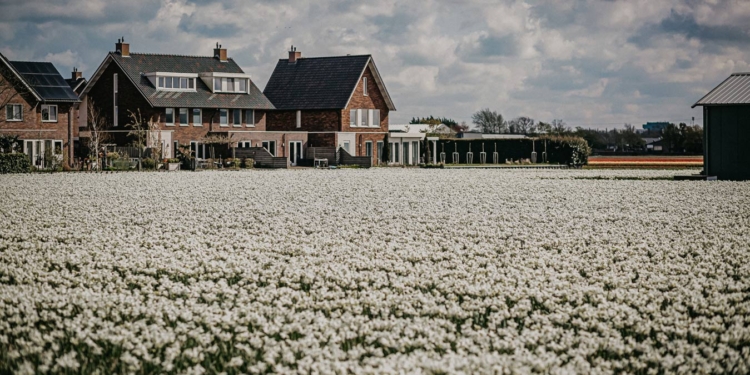 Оказывается, так тоже можно: Копенгаген превратит 7 гектаров асфальта в цветочные поля