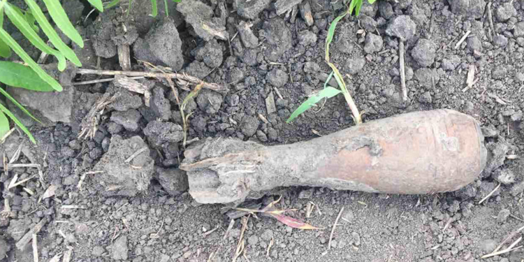 Полезли после дождей? На Николаевщине обезвредили очередную найденную минометную мину (ФОТО)