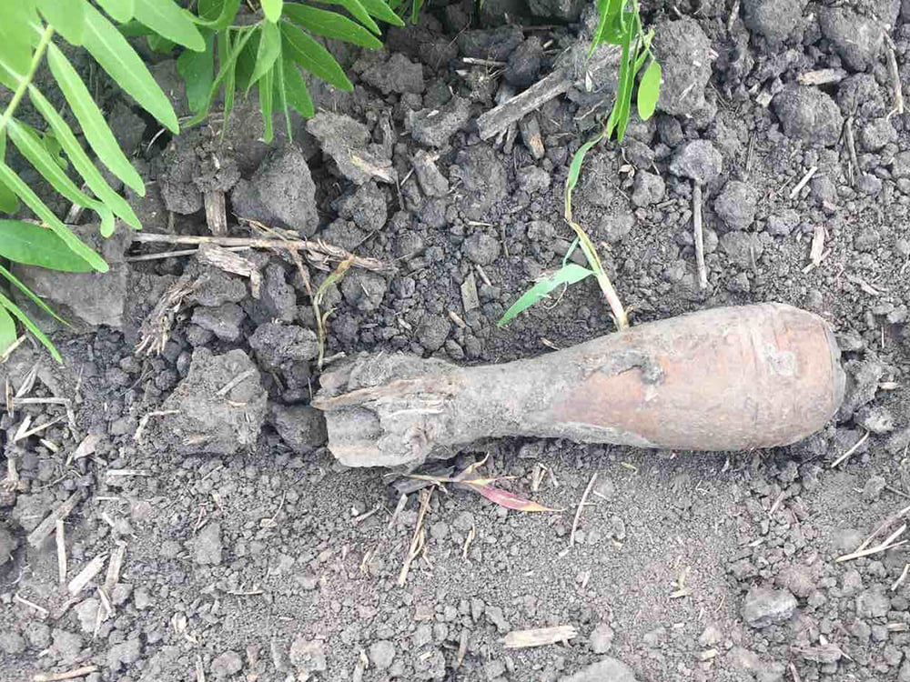 Полезли после дождей? На Николаевщине обезвредили очередную найденную минометную мину (ФОТО) 1