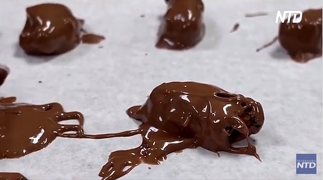 Цикады в шоколаде: в США освоили выпуск необычных конфет (ВИДЕО) 1
