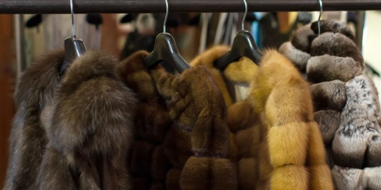 Израиль первым в мире ввел запрет на продажу меха