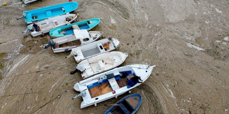 Мраморное море покрыли “морские сопли”. Эрдоган предупреждает об опасности для Черного моря (ФОТО, ВИДЕО)