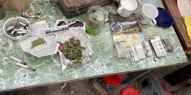 В Южноукраинске во время обыска нашли конопли на 300 тыс. грн., рубли и травку в партийной газете (ФОТО)